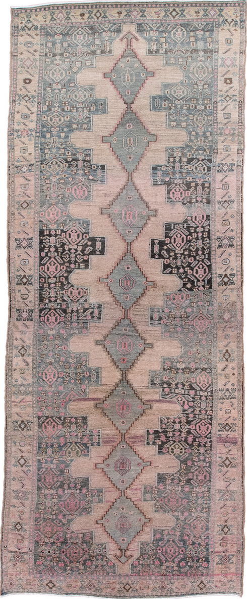 Antique Bidjar Runner Rug (4' x 10')